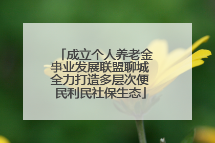 成立个人养老金事业发展联盟聊城全力打造多层次便民利民社保生态