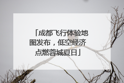 成都飞行体验地图发布，低空经济点燃蓉城夏日
