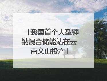 我国首个大型锂钠混合储能站在云南文山投产
