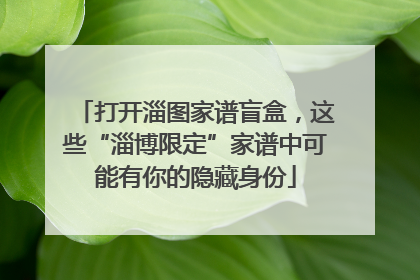 打开淄图家谱盲盒，这些“淄博限定”家谱中可能有你的隐藏身份