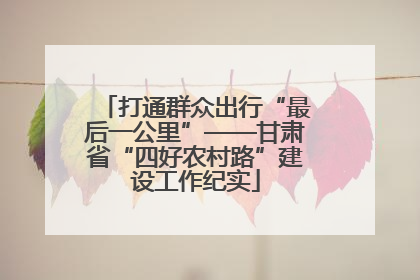 打通群众出行“最后一公里”——甘肃省“四好农村路”建设工作纪实