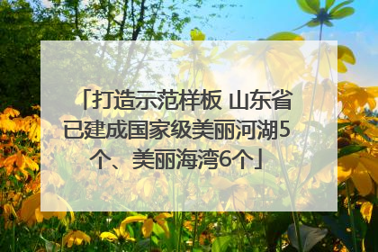 打造示范样板 山东省已建成国家级美丽河湖5个、美丽海湾6个