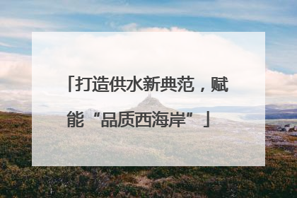 打造供水新典范，赋能“品质西海岸”
