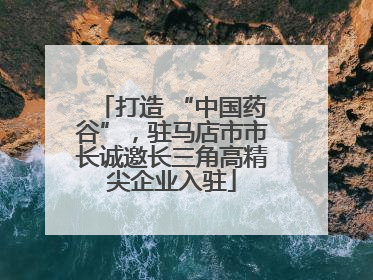 打造 “中国药谷”，驻马店市市长诚邀长三角高精尖企业入驻