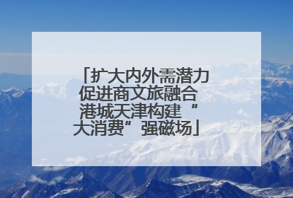 扩大内外需潜力 促进商文旅融合 港城天津构建“大消费”强磁场