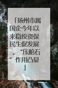 扬州市属国企今年以来稳投资保民生促发展，“压舱石”作用凸显