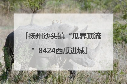 扬州沙头镇“瓜界顶流”8424西瓜进城