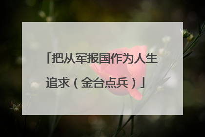 把从军报国作为人生追求（金台点兵）