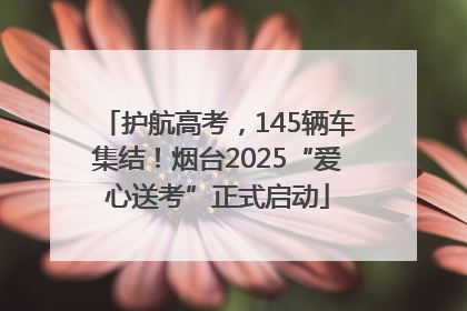 护航高考，145辆车集结！烟台2025“爱心送考”正式启动