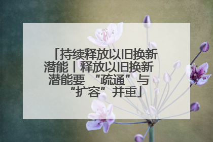 持续释放以旧换新潜能丨释放以旧换新潜能要 “疏通”与“扩容”并重