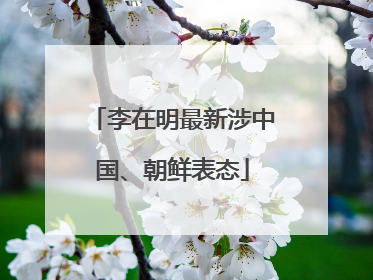 李在明最新涉中国、朝鲜表态