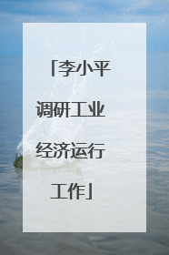 李小平调研工业经济运行工作