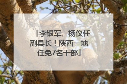 李银军、杨仪任副县长！陕西一地任免7名干部