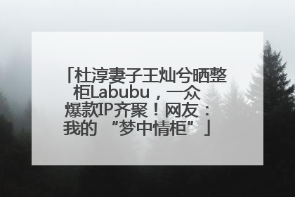 杜淳妻子王灿兮晒整柜Labubu，一众爆款IP齐聚！网友：我的 “梦中情柜”