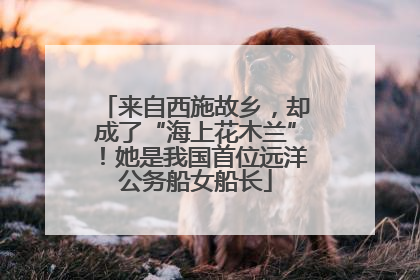 来自西施故乡，却成了“海上花木兰”！她是我国首位远洋公务船女船长