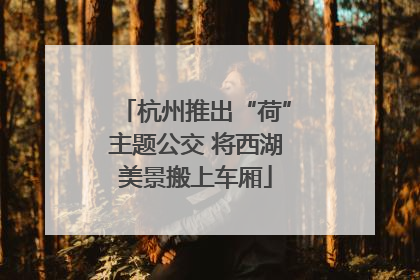 杭州推出“荷”主题公交 将西湖美景搬上车厢