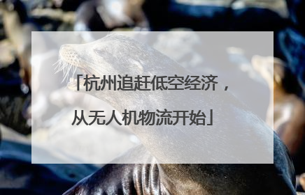 杭州追赶低空经济，从无人机物流开始