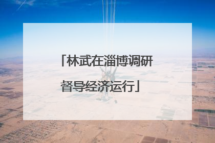 林武在淄博调研督导经济运行