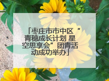 枣庄市市中区“青穗成长计划 星空思享会”团青活动成功举办