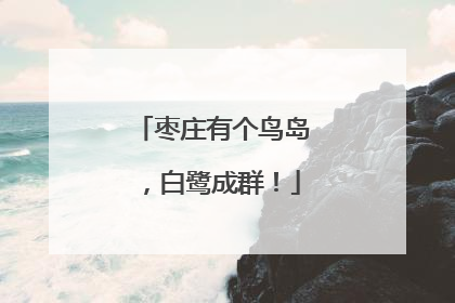 枣庄有个鸟岛，白鹭成群！