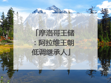 摩洛哥王储：阿拉维王朝低调继承人