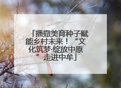 播撒美育种子赋能乡村未来！“文化筑梦·绽放中原”走进中牟