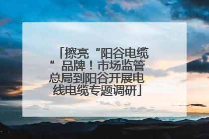 擦亮“阳谷电缆”品牌！市场监管总局到阳谷开展电线电缆专题调研