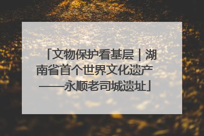 文物保护看基层｜湖南省首个世界文化遗产——永顺老司城遗址