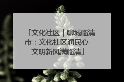 文化社区｜聊城临清市：文化社区润民心 文明新风满临清