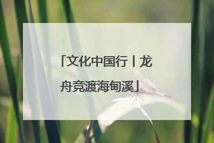 文化中国行丨龙舟竞渡海甸溪