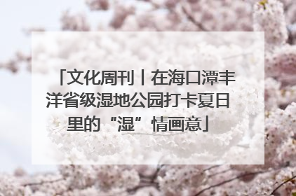 文化周刊丨在海口潭丰洋省级湿地公园打卡夏日里的“湿”情画意