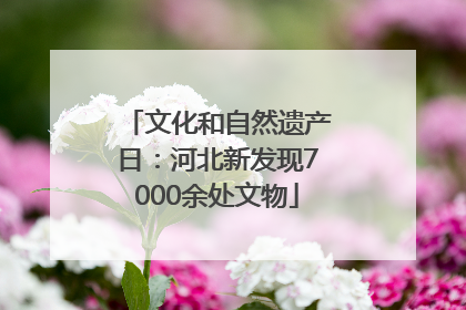 文化和自然遗产日：河北新发现7000余处文物