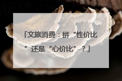文旅消费：拼“性价比”还是“心价比”？