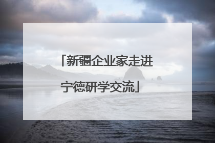 新疆企业家走进宁德研学交流