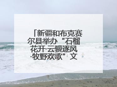 新疆和布克赛尔县举办“石榴花开·云骥逐风·牧野欢歌”文化演出季活动
