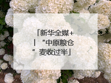 新华全媒+丨“中原粮仓”麦收过半