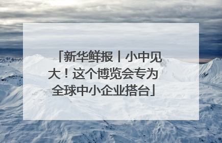 新华鲜报丨小中见大！这个博览会专为全球中小企业搭台
