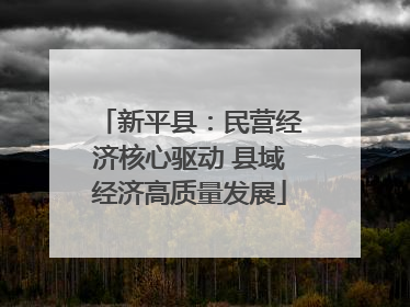 新平县：民营经济核心驱动 县域经济高质量发展