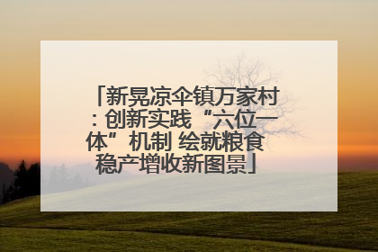 新晃凉伞镇万家村：创新实践“六位一体”机制 绘就粮食稳产增收新图景
