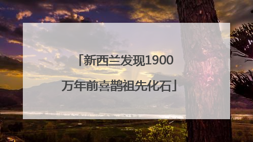 新西兰发现1900万年前喜鹊祖先化石