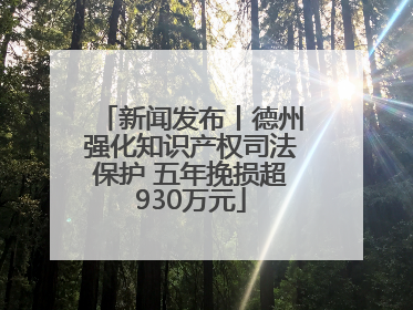 新闻发布丨德州强化知识产权司法保护 五年挽损超930万元