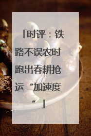 时评：铁路不误农时跑出春耕抢运“加速度”