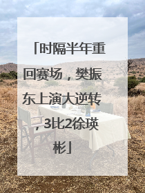 时隔半年重回赛场，樊振东上演大逆转，3比2徐瑛彬