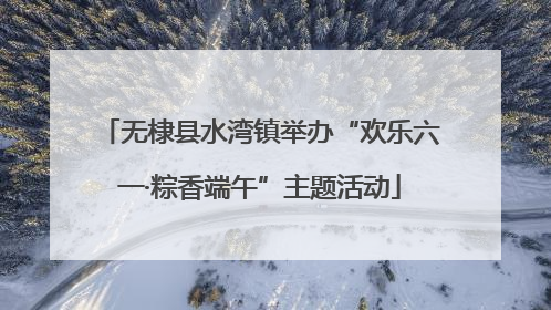 无棣县水湾镇举办“欢乐六一·粽香端午”主题活动