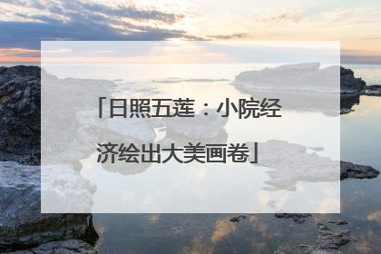 日照五莲：小院经济绘出大美画卷