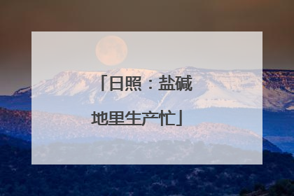 日照：盐碱地里生产忙