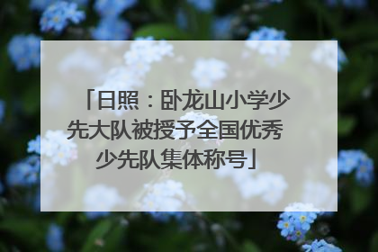 日照：卧龙山小学少先大队被授予全国优秀少先队集体称号