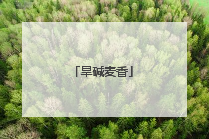 旱碱麦香