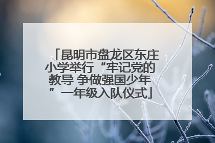 昆明市盘龙区东庄小学举行“牢记党的教导 争做强国少年”一年级入队仪式