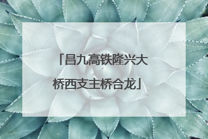 昌九高铁隆兴大桥西支主桥合龙